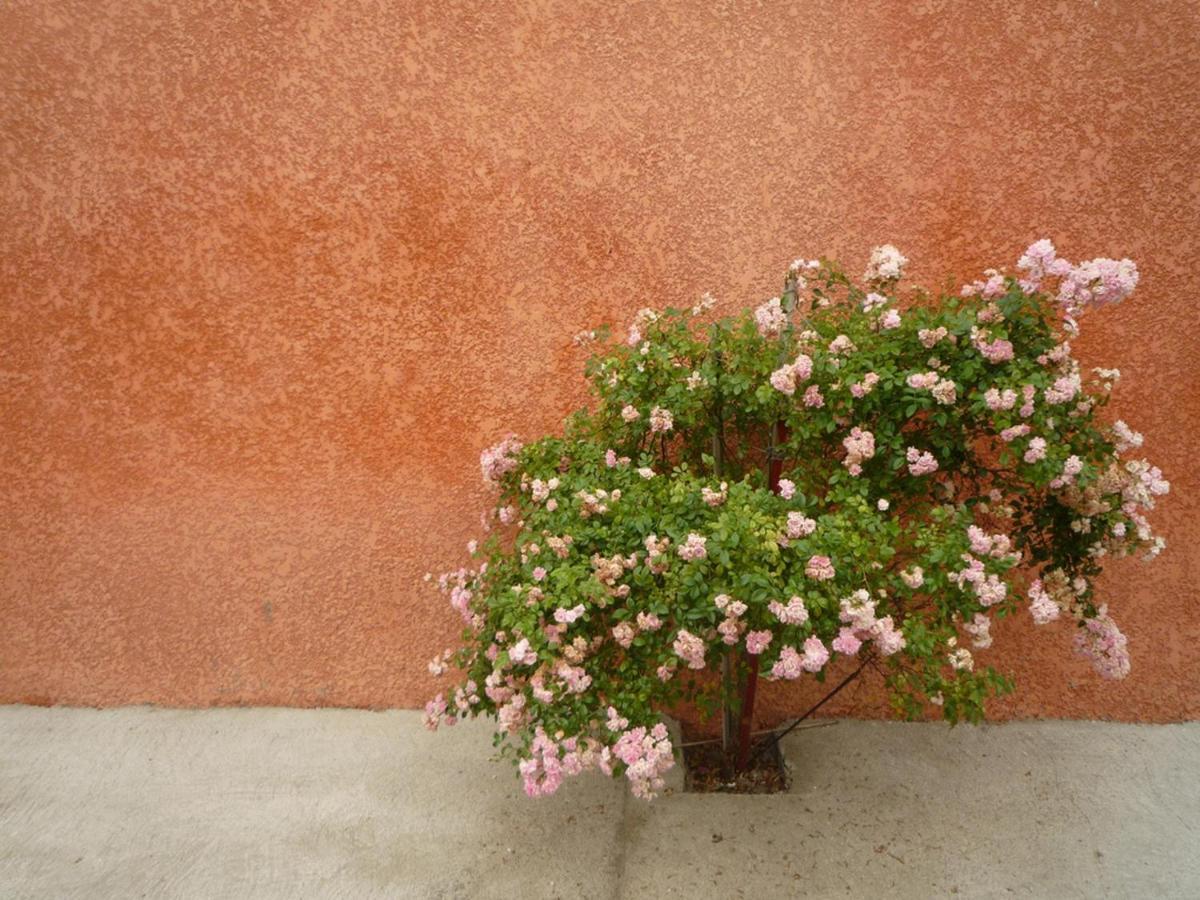 Charming And Quaint 2-Bed House In Marseillan Villa Exteriör bild